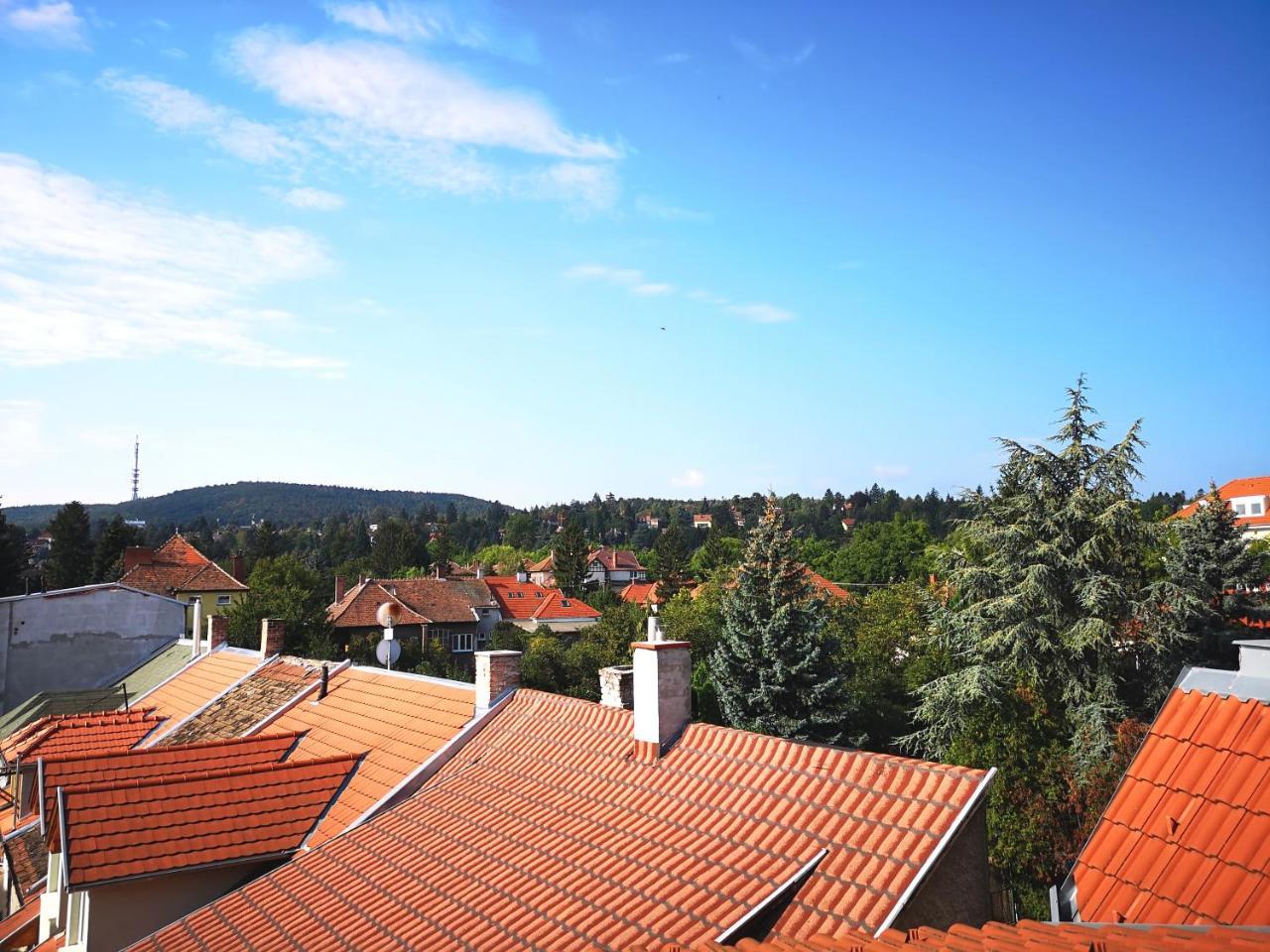 Hoke * Sopron